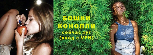 ПСИЛОЦИБИНОВЫЕ ГРИБЫ Наволоки