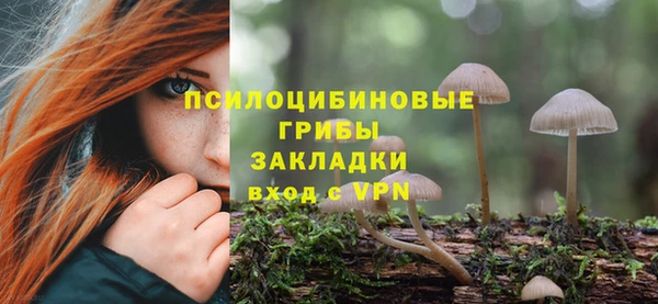 ПСИЛОЦИБИНОВЫЕ ГРИБЫ Наволоки